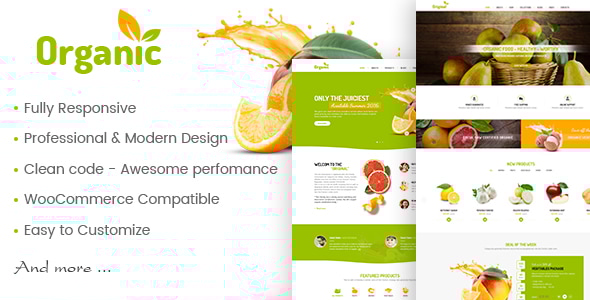 AmyOrganic - Organic and Healthy Theme for WordPress Logo